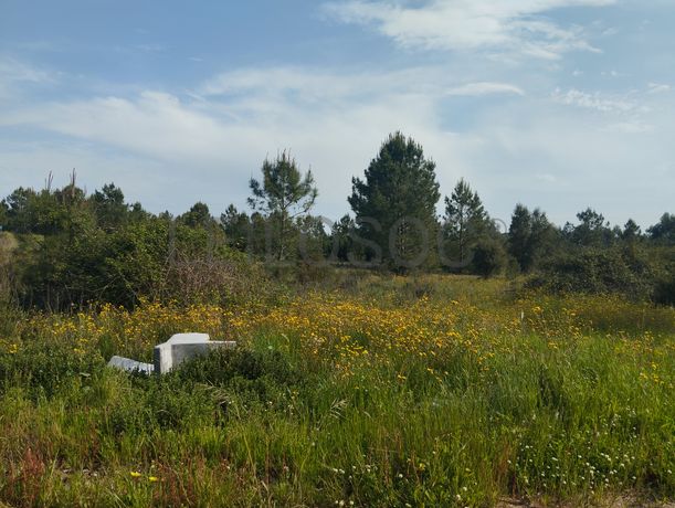 Fotografia 3 de 12: Proporção de Terreno com 23 Hectares · Quinta do Anjo, Palme