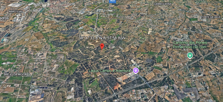 Fotografia 11 de 12: Proporção de Terreno com 23 Hectares · Quinta do Anjo, Palme
