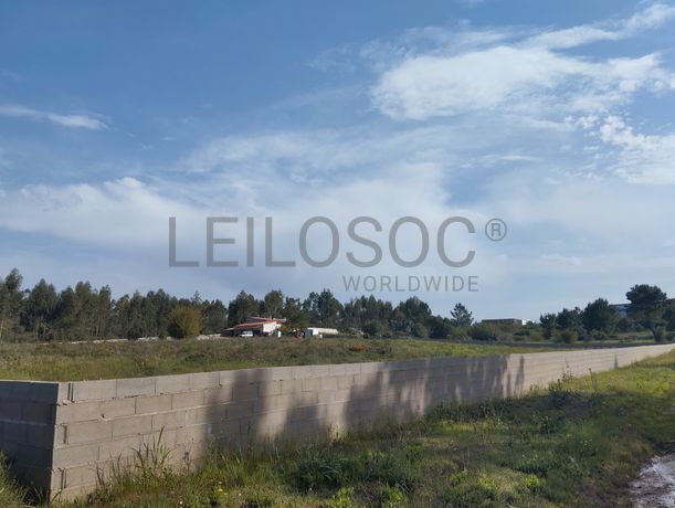 Fotografia 6 de 12: Proporção de Terreno com 23 Hectares · Quinta do Anjo, Palme