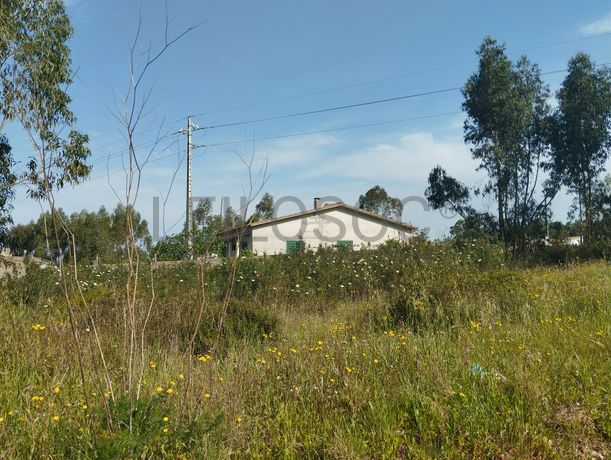 Fotografia 4 de 12: Proporção de Terreno com 23 Hectares · Quinta do Anjo, Palme