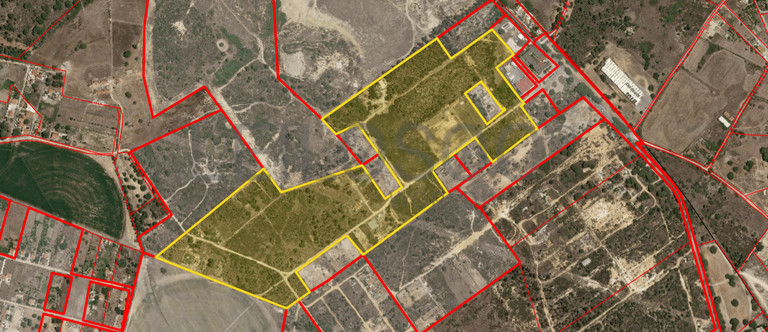 Proporção de Terreno com 23 Hectares · Quinta do Anjo, Palmela