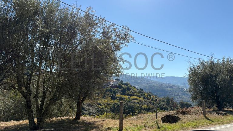 Direito à Raiz do Depósito de Água + Terreno com Benfeitoria + Terreno Rústico · Santa Marinha do Zêzere, Baião