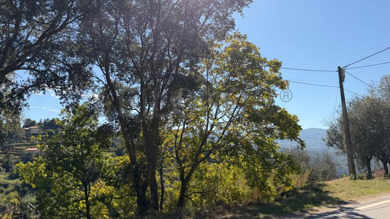 Direito à Raiz do Depósito de Água + Terreno com Benfeitoria + Terreno Rústico · Santa Marinha do Zêzere, Baião
