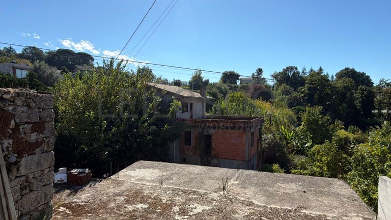 Direito à Raiz do Depósito de Água + Terreno com Benfeitoria + Terreno Rústico · Santa Marinha do Zêzere, Baião