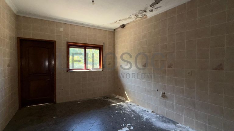 Direito à Raiz do Depósito de Água + Terreno com Benfeitoria + Terreno Rústico · Santa Marinha do Zêzere, Baião