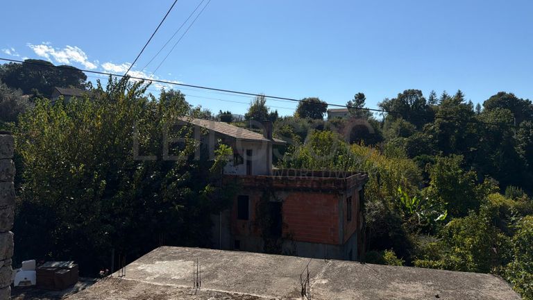 Direito à Raiz do Depósito de Água + Terreno com Benfeitoria + Terreno Rústico · Santa Marinha do Zêzere, Baião