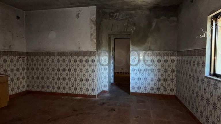 Direito à Raiz do Depósito de Água + Terreno com Benfeitoria + Terreno Rústico · Santa Marinha do Zêzere, Baião