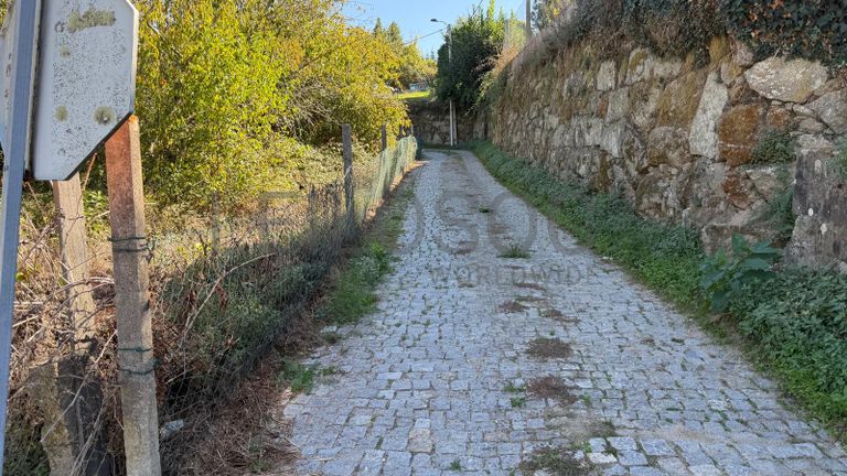 Direito à Raiz do Depósito de Água + Terreno com Benfeitoria + Terreno Rústico · Santa Marinha do Zêzere, Baião