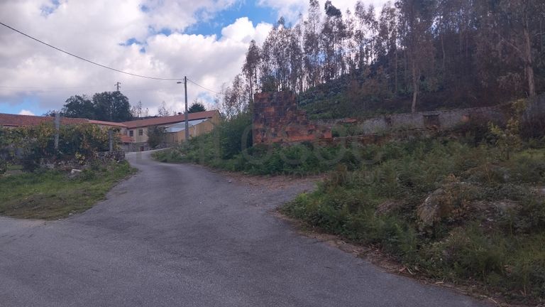Fotografia 6 de 7: Terreno Rústico · Campia, Vouzela