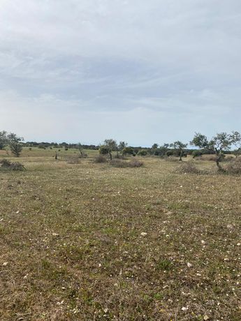 Terreno com 5,775 hectares · Serpa