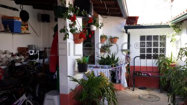 Quinhão hereditário · Lousã