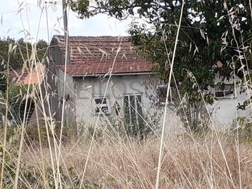 Quintão Hereditário · Leiria