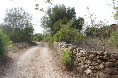 Moradias (Ruínas) + Terreno ·  Boliqueime, Loulé