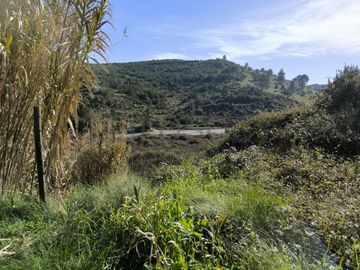 Terreno · Arruda dos Vinhos, Lisboa