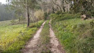 Terreno · Leiria