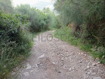 Quinhão Hereditário · Arcos de Valdevez