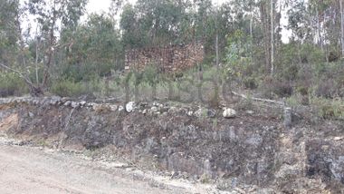 Imóveis · Mação, Santarém