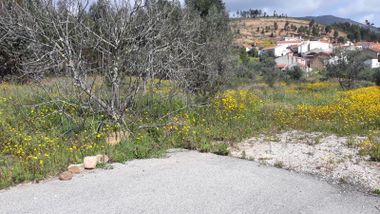 Quinhão Hereditário · Mação, Santarém