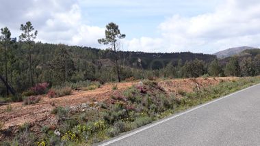 Imóveis · Mação, Santarém