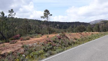 Quinhão Hereditário · Mação, Santarém