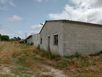 Proporção de 17/20 de Pavilhões para Produção Animal · Terrenos · Vila Pouca de Aguiar