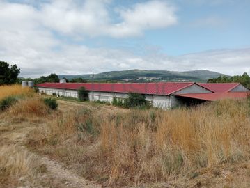 Proporção de 17/20 de Pavilhões para Produção Animal · Terrenos · Vila Pouca de Aguiar