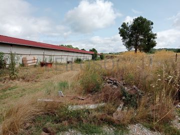 Proporção de 17/20 de Pavilhões para Produção Animal · Terrenos · Vila Pouca de Aguiar