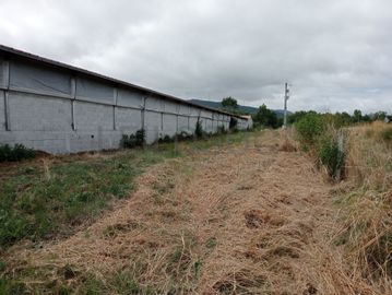 Proporção de 17/20 de Pavilhões para Produção Animal · Terrenos · Vila Pouca de Aguiar