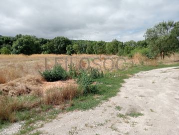 Proporção de 17/20 de Pavilhões para Produção Animal · Terrenos · Vila Pouca de Aguiar