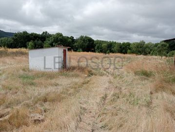 Proporção de 17/20 de Pavilhões para Produção Animal · Terrenos · Vila Pouca de Aguiar