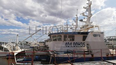 Três Atuneiros | Three Longliners - ALALUNGA V + ALALUNGA VI + PELAMIS IV