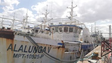 Três Atuneiros | Three Longliners - ALALUNGA V + ALALUNGA VI + PELAMIS IV