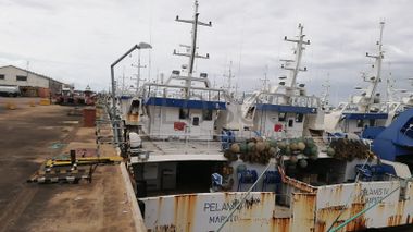 Três Atuneiros | Three Longliners -  ALBACARES VI + PELAMIS I + PELAMIS VI