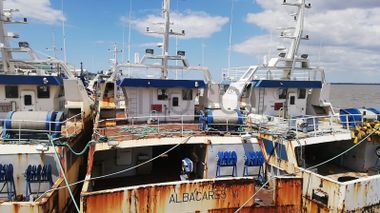 Três Atuneiros | Three Longliners -  ALBACARES VI + PELAMIS I + PELAMIS VI