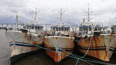 Três Atuneiros | Three Longliners -  ALBACARES VI + PELAMIS I + PELAMIS VI