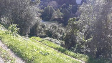 Quinhão Hereditário · Coimbra · Miranda do Corvo