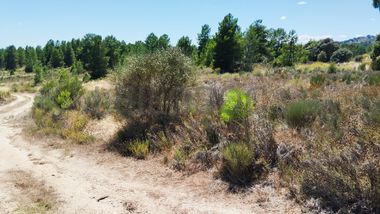 Terreno c/ 2,66 ha · Penamacor, Castelo Branco