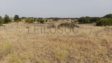 Lote para Construção · Redondo, Évora