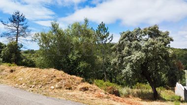 Terreno · Ferreira do Zêzere, Santarém