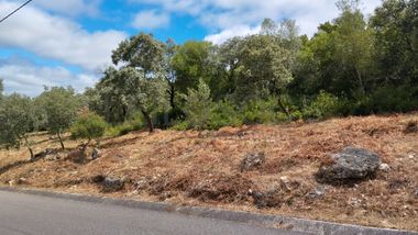 Terreno · Ferreira do Zêzere, Santarém