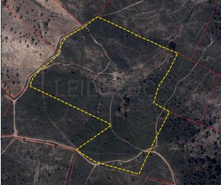 Terreno c/ 10 ha + Edifício (Ruínas) · Mértola, Beja 