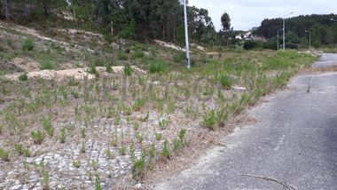 Lote para Construção · Torres Vedras