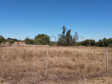 Quinta com 2,4 Hectares · Montemor-o-Novo