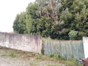 Terreno com +3 hectares · Valbom, Gondomar 