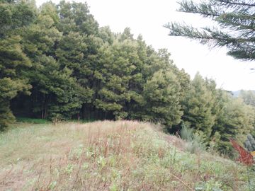 Terreno com +3 hectares · Valbom, Gondomar 