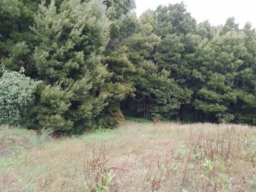 Terreno com +3 hectares · Valbom, Gondomar 