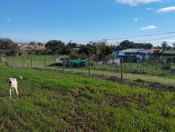 Terreno · Nossa Senhora das Neves, Beja