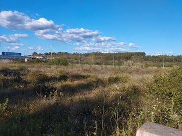 Lote para Construção · Chamusca, Santarém