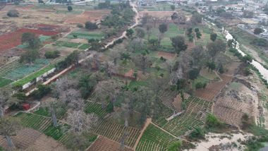 Talatona | Luanda | Terreno  | Localização Premium