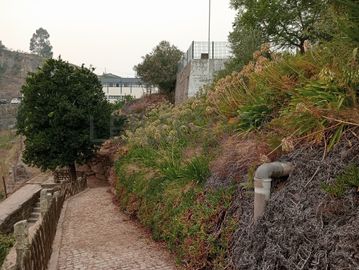 Quinta com 1,3 hectares · Penafiel